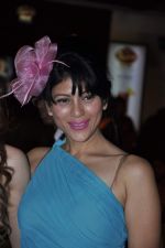 at McDowell Signature Premier Indian Derby 2013 day 1 in Mumbai on 2nd Feb 2013 (21).JPG